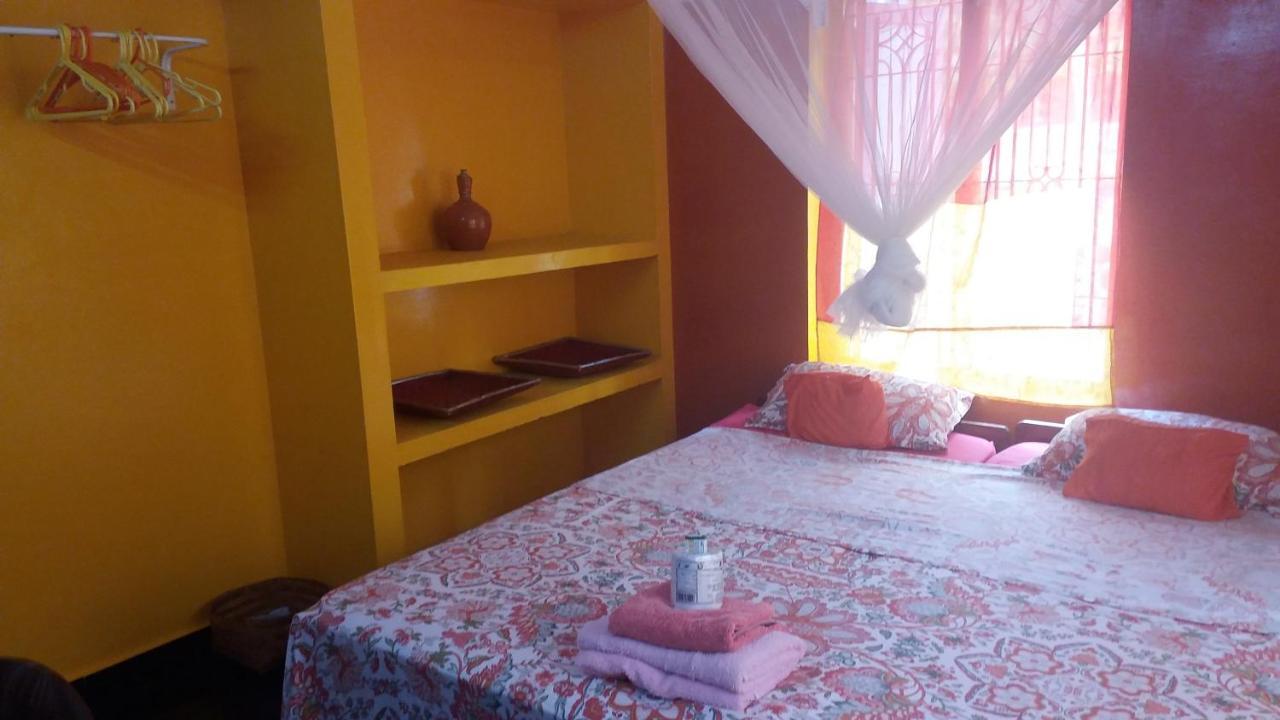 Casa Eva Luna Ayuryoga Retreat 바르칼라 외부 사진